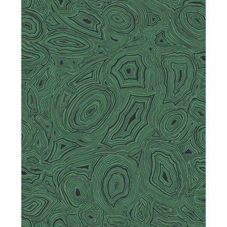 Cole & Son MALACHITE EMERALD/BLACK Wallpaper