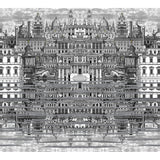Cole & Son RIFLESSO BLACK/WHITE Wallpaper