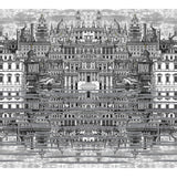 Cole & Son Riflesso Black/White Wallpaper