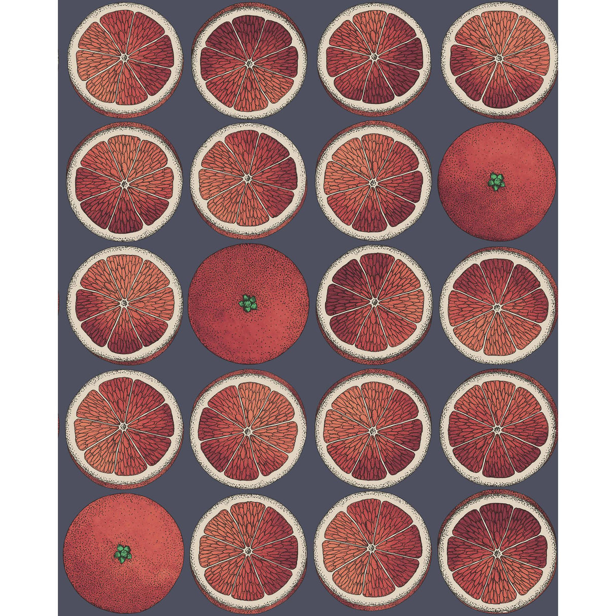 Cole & Son ARANCE BLOOD ORANGE/INK Wallpaper