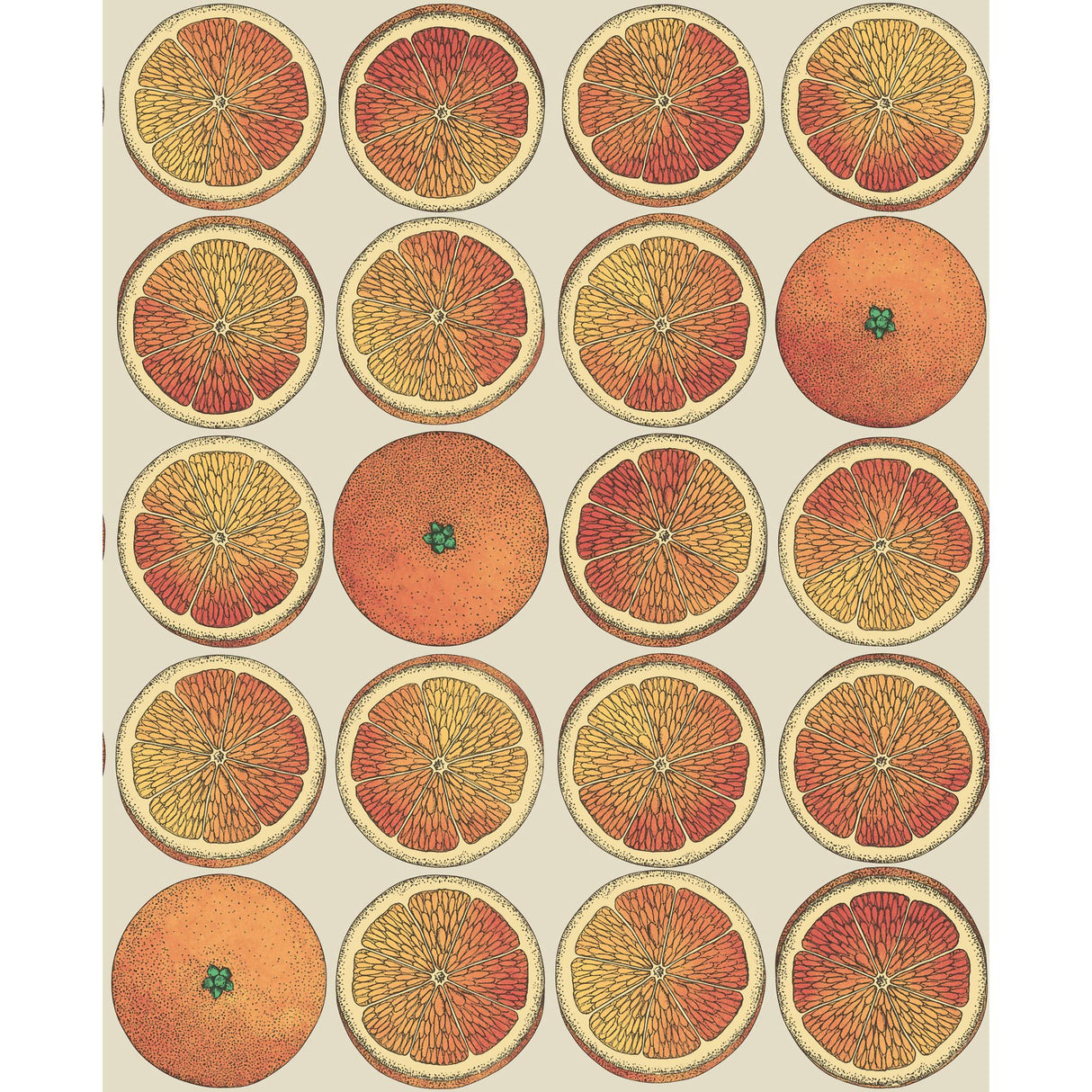 Cole & Son ARANCE ORANGE/CREAM Wallpaper