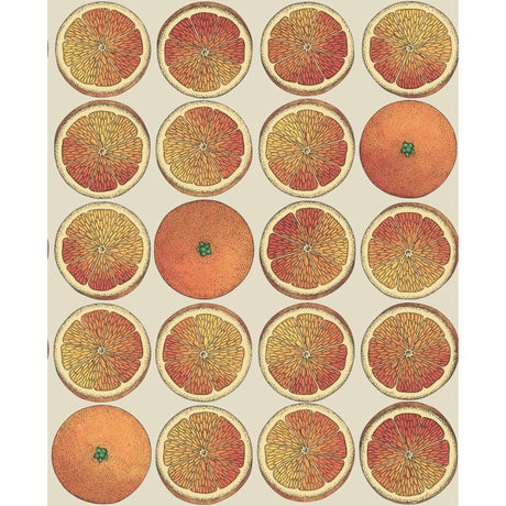 Cole & Son ARANCE ORANGE/CREAM Wallpaper