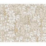 Cole & Son CHIAVI SEGRETE PARCHMENT Wallpaper