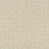 Kravet Appointed Papyrus Fabric