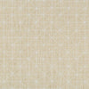 Kravet Appointed Papyrus Fabric