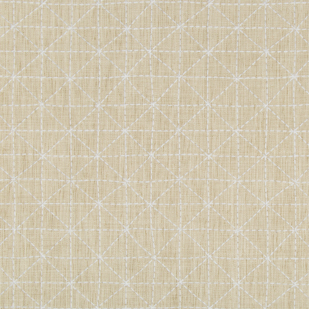 Kravet APPOINTED PAPYRUS Fabric