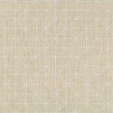 Kravet APPOINTED PAPYRUS Fabric