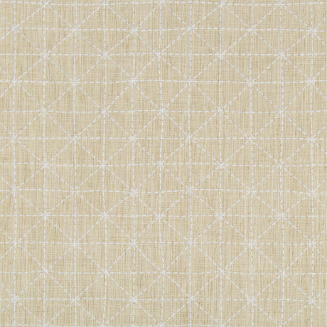 Kravet APPOINTED PAPYRUS Fabric