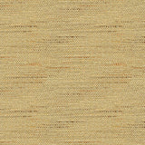 Kravet BASICS 33135 1611 Fabric