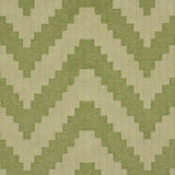 Schumacher Verne Green Fabric