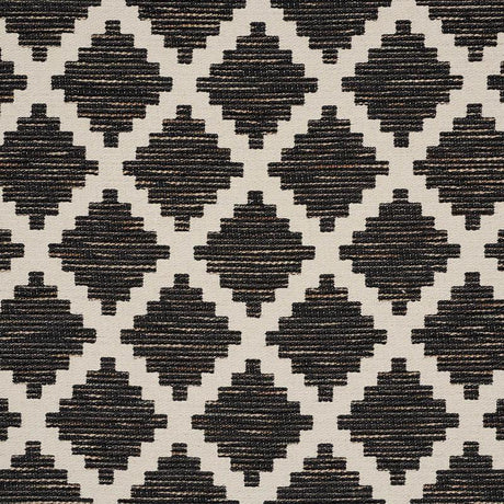 Schumacher Tibur Black Fabric