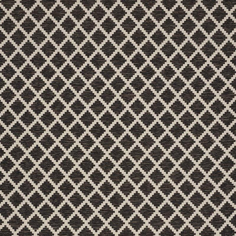 Schumacher Tibur Black Fabric