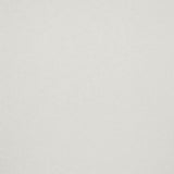 Schumacher Garter Stripe Indoor/Outdoor Natural Fabric