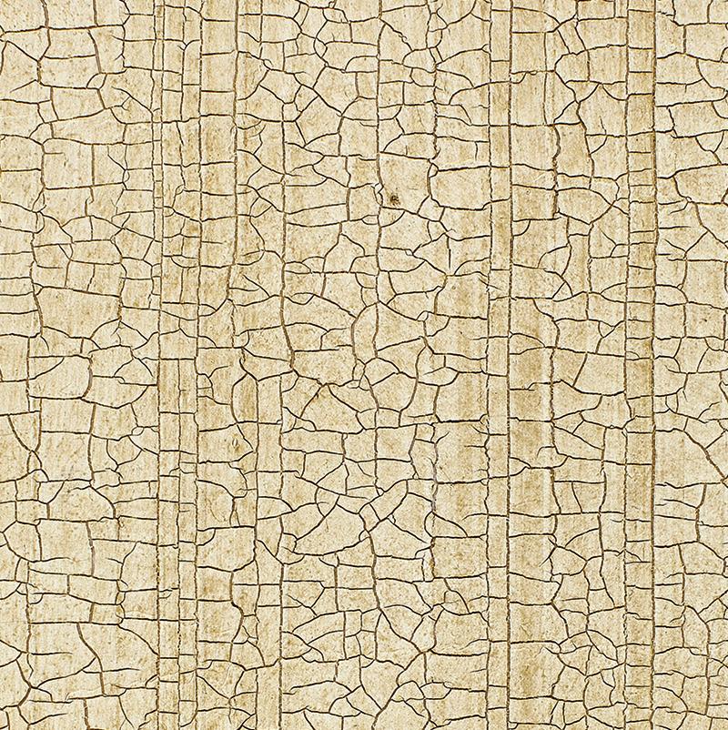 Schumacher Masaccio Ground Champagne Wallpaper