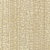 Schumacher Masaccio Ground Champagne Wallpaper