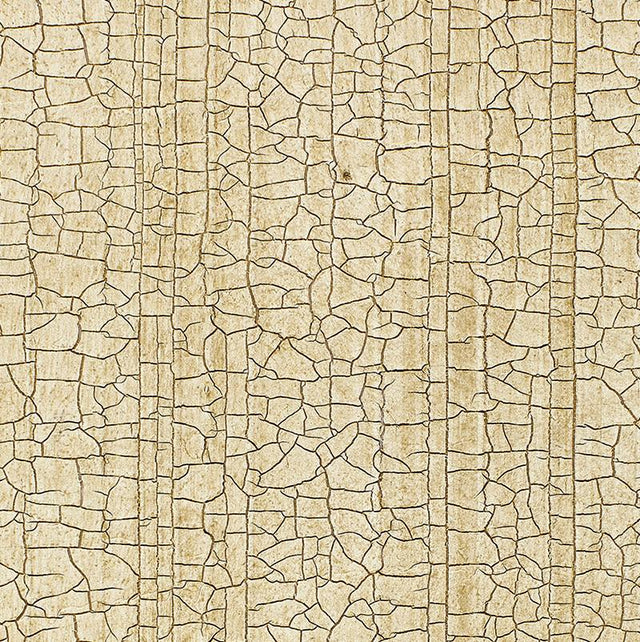 Schumacher Masaccio Ground Champagne Wallpaper