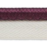 Schumacher Gustave Silk Lip Cord Wide Eggplant Trim