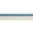 Schumacher Cadet Gustave Silk Lip Cord Medium