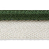 Schumacher Gustave Silk Lip Cord Medium Emerald Trim