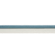 Schumacher Cadet Gustave Silk Lip Cord Wide