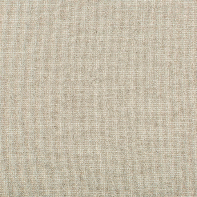 Kravet ADAPTABLE QUARTZ Upholstery Fabric