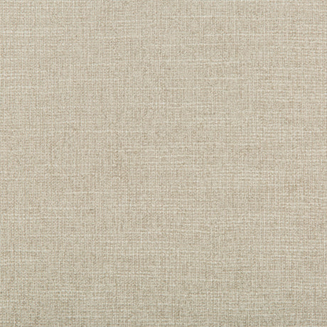 Kravet ADAPTABLE QUARTZ Upholstery Fabric