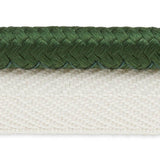 Schumacher Gustave Silk Lip Cord Wide Emerald Trim