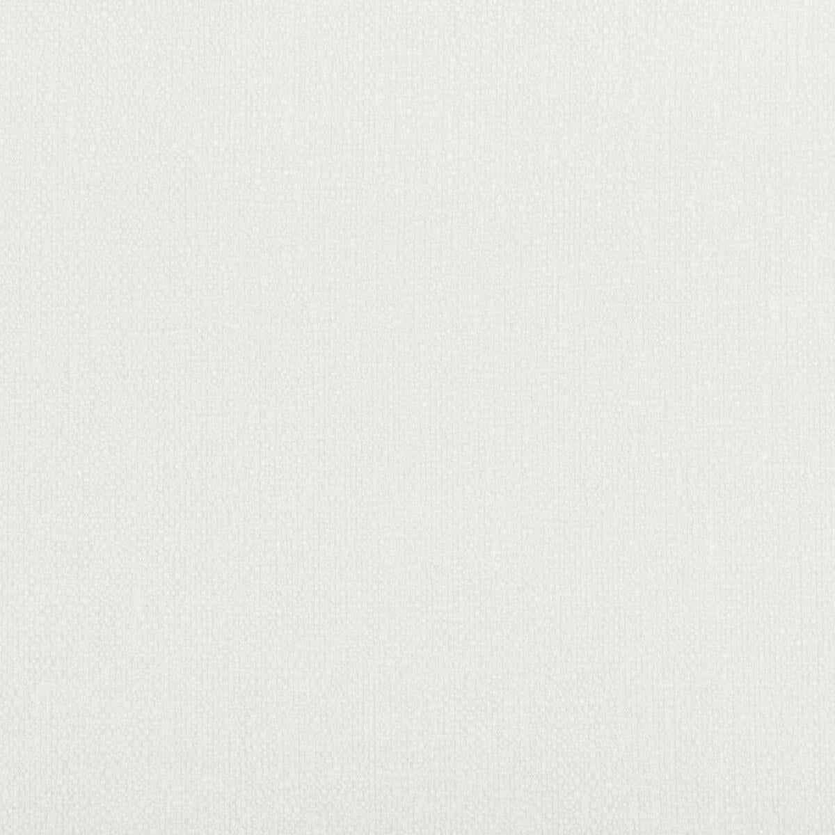 Kravet 35391 101 Fabric