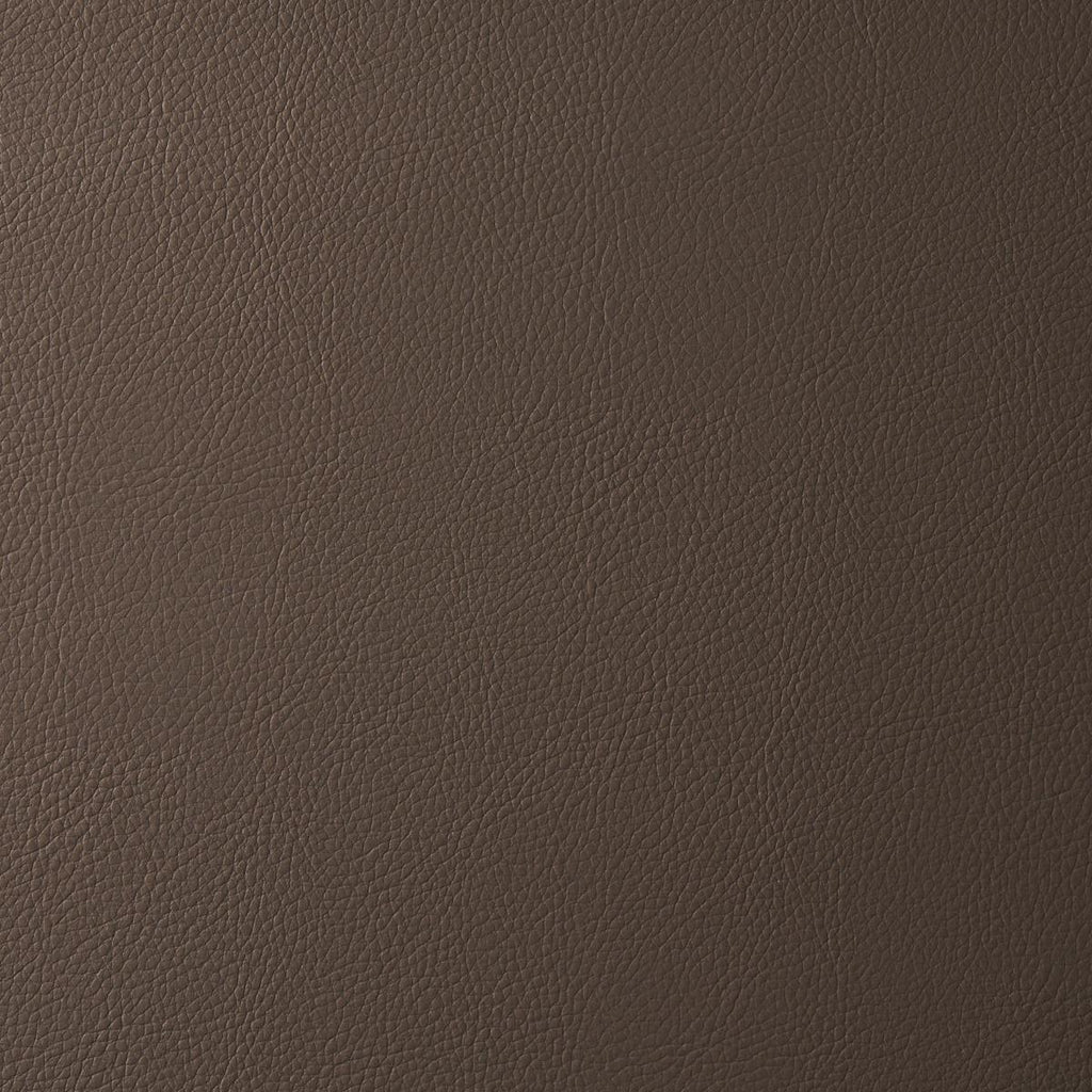 Schumacher Vegan Leather Indoor/Outdoor Java Fabric