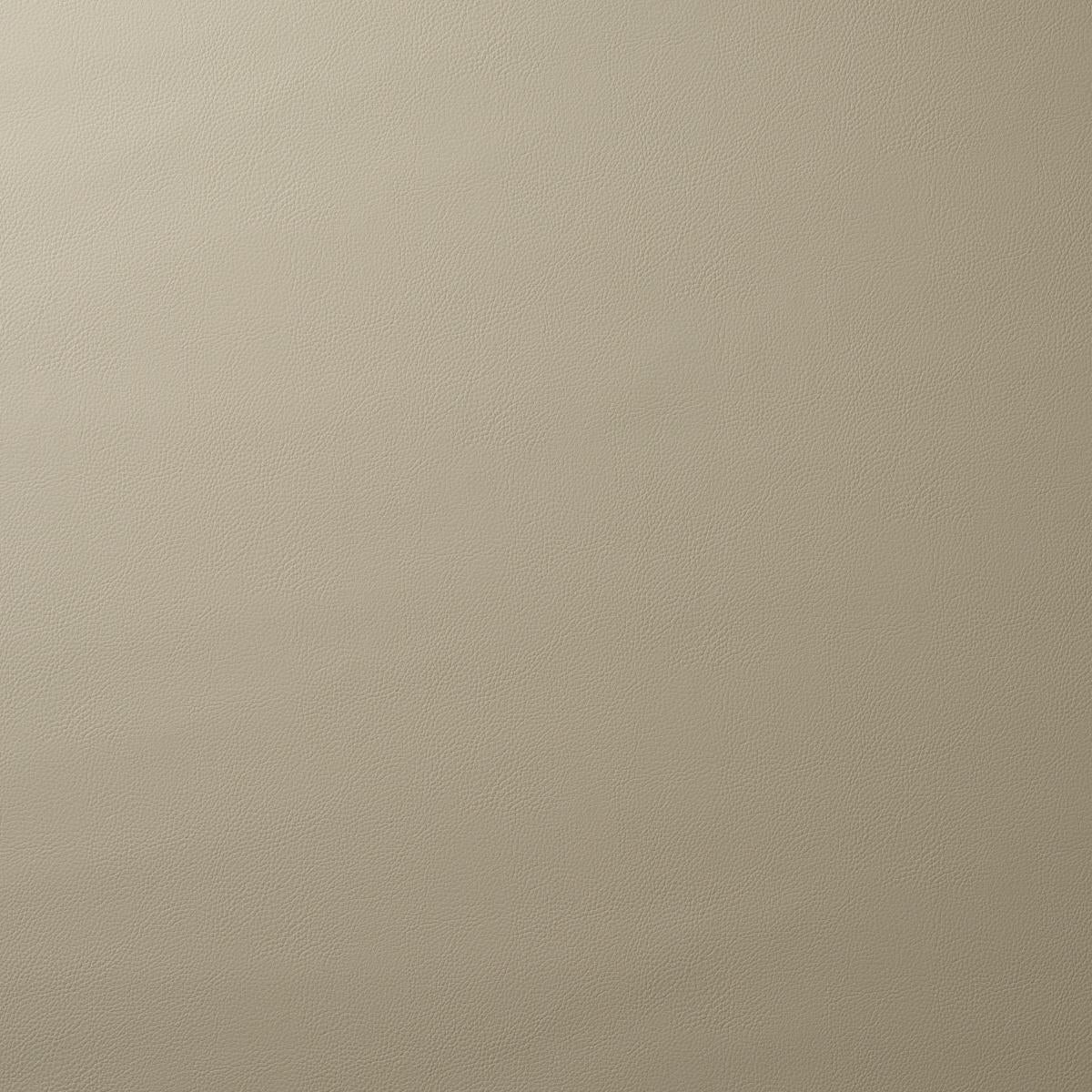 Schumacher Vegan Leather Indoor/Outdoor Pewter Fabric