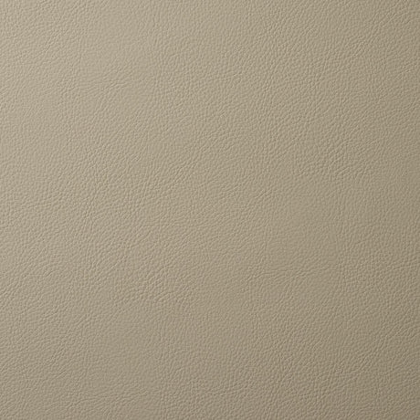 Schumacher Vegan Leather Indoor/Outdoor Pewter Fabric