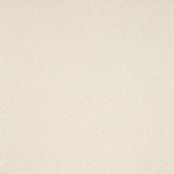 Schumacher Adagio Natural Fabric