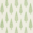 Schumacher Juniper Block Print Green Fabric