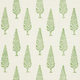 Schumacher Juniper Block Print Green Fabric