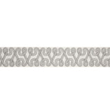 Schumacher Dove Freeform Embroidered Tape