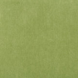 Kravet BASICS 33299 303 Fabric