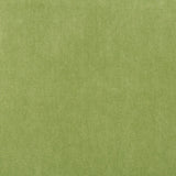 Kravet 33299 303 Fabric
