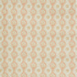 Brunschwig & Fils NADARI PRINT PEACH/GOLD Fabric