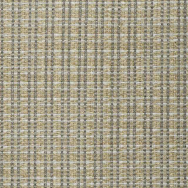Gaston Y Daniela MAUREGATO CRUDO Upholstery Fabric