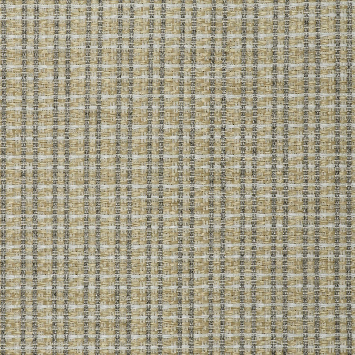Gaston Y Daniela MAUREGATO CRUDO Upholstery Fabric