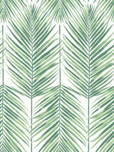 Seabrook Paradise Palm Greenery Wallpaper