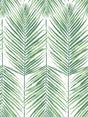 Seabrook Paradise Palm Greenery Wallpaper