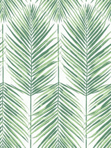 Seabrook Paradise Palm Green Wallpaper