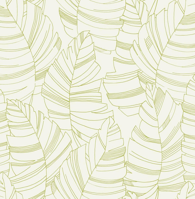 Seabrook Jungle Leaves Green Apple Wallpaper