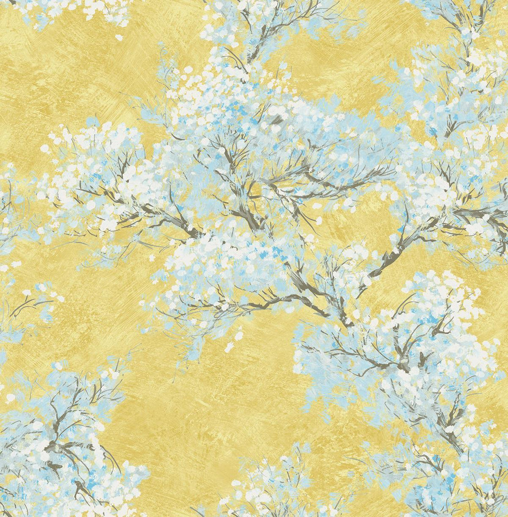 Seabrook Cherry Blossoms Gold, White, and Sky Blue Wallpaper