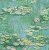 Seabrook Lily Pads Gold, Green, And Pink Wallpaper