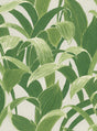 Seabrook Imperial Banana Groves Metallic Pearl and Forest Green Wallpaper
