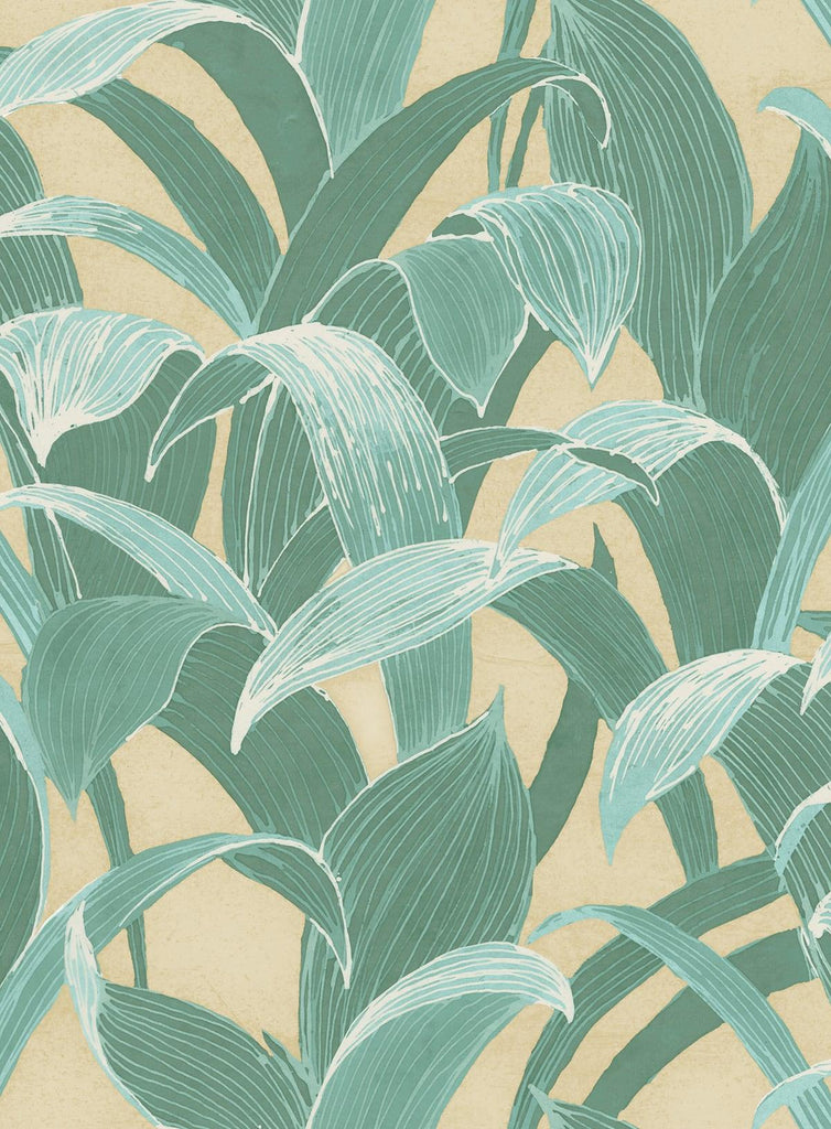 Seabrook Imperial Banana Groves Green Wallpaper
