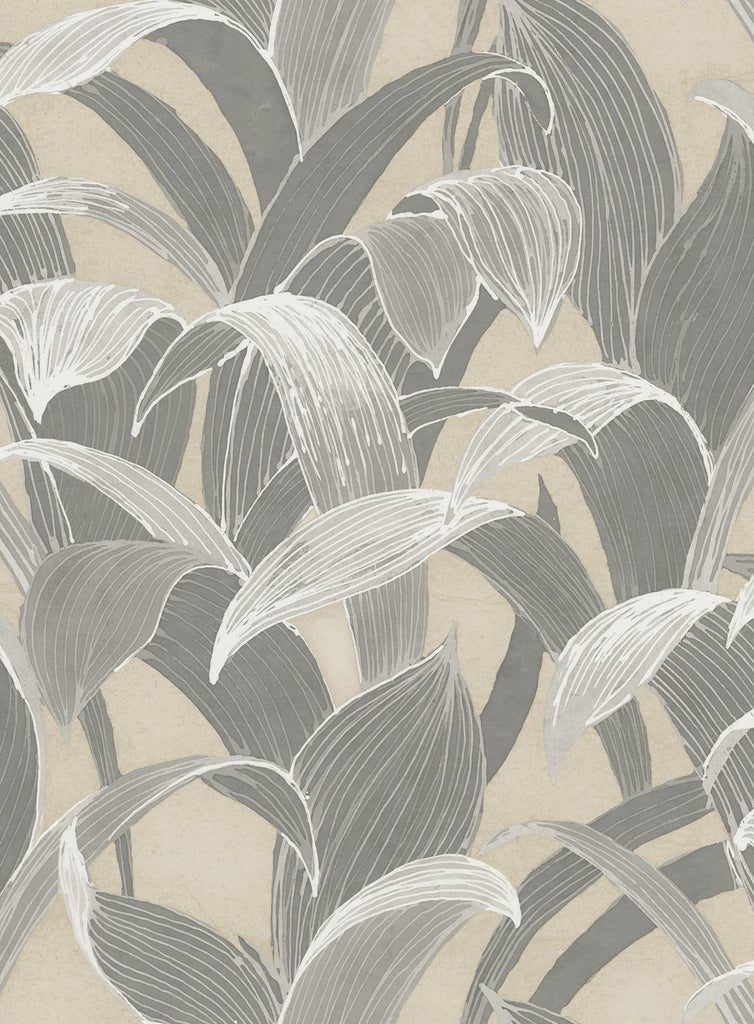 Seabrook Imperial Banana Groves Grey Wallpaper