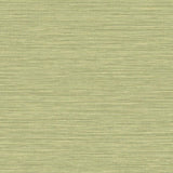 Seabrook Grasslands Lime Moss Wallpaper